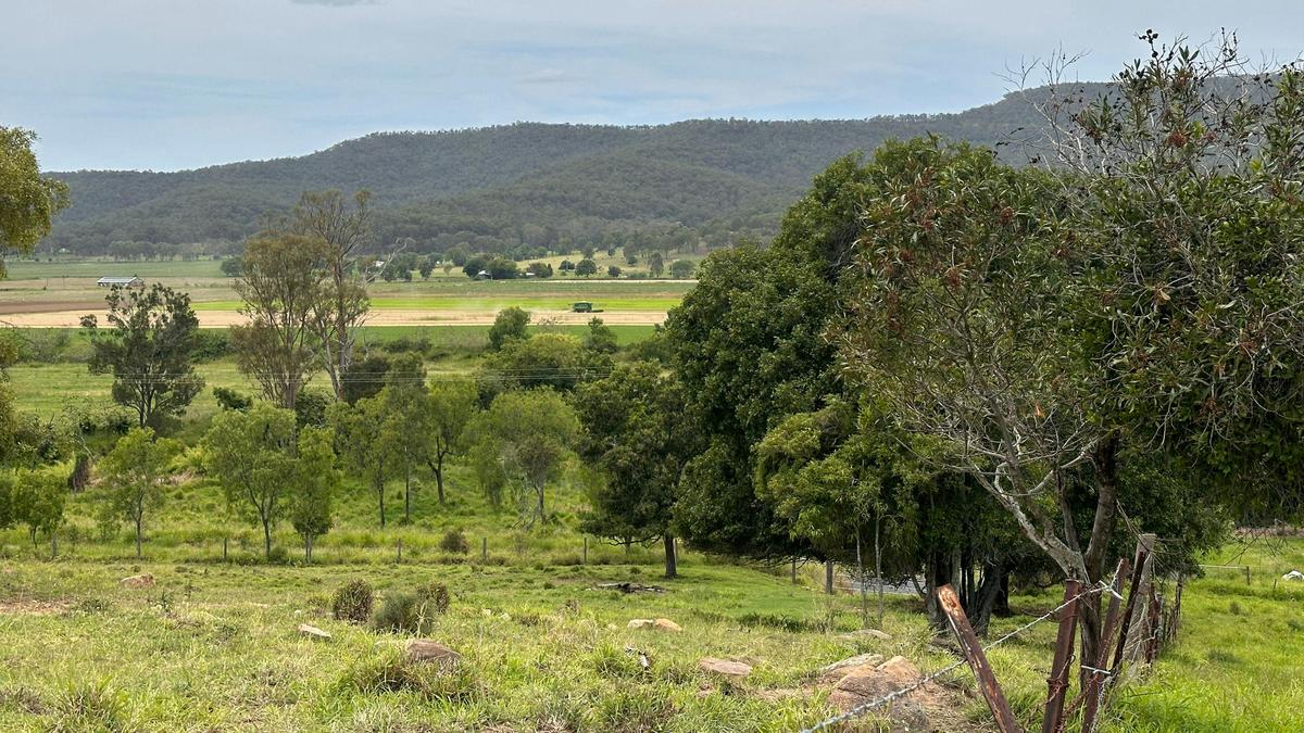 Wattle Tree Hill