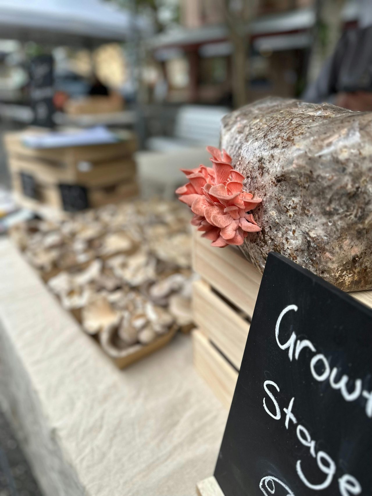 Real Food Market