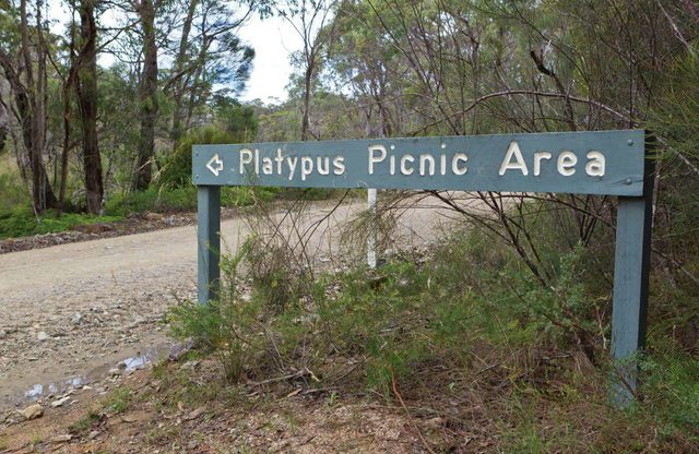 Platypus Picnic Area