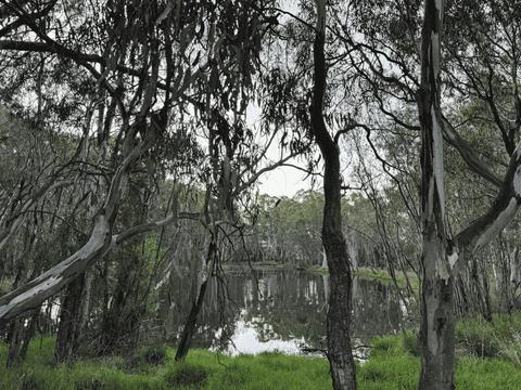 RJ Edwards Park