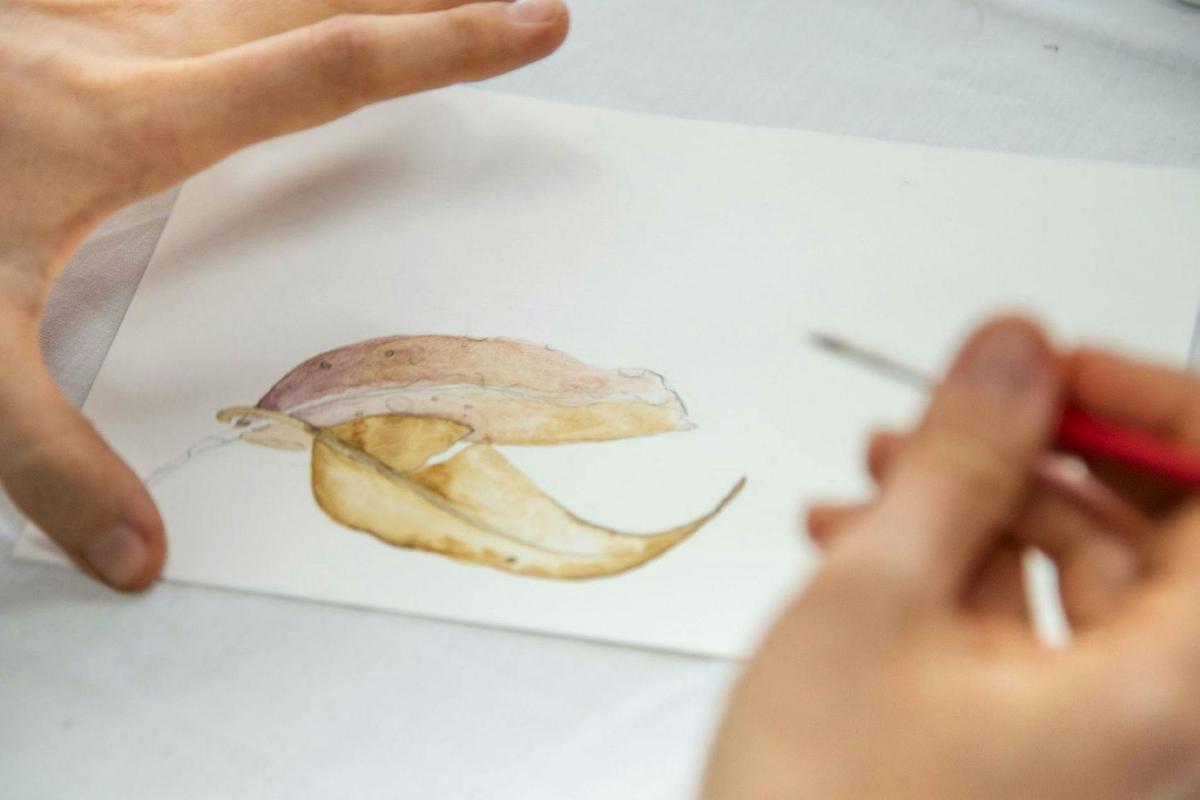 Watercolour Workshop