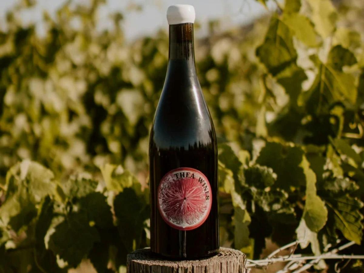 Thea Wines