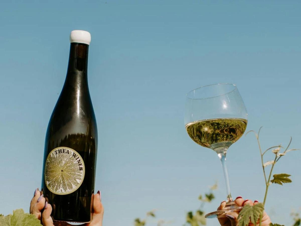 Thea Wines