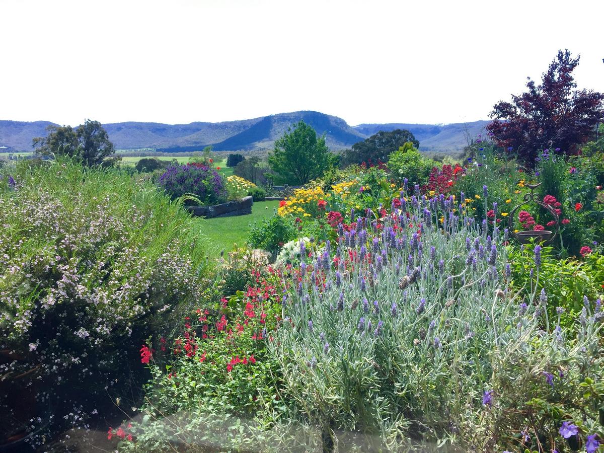 Hartvale landscapes