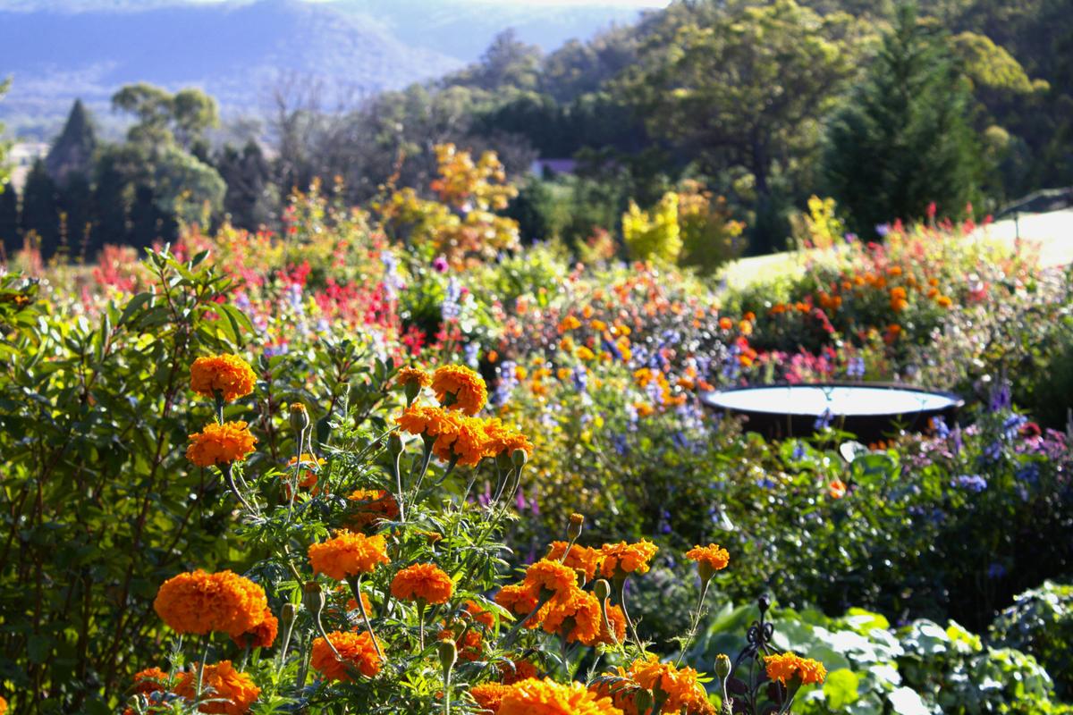Cottage gardens of Hartvale