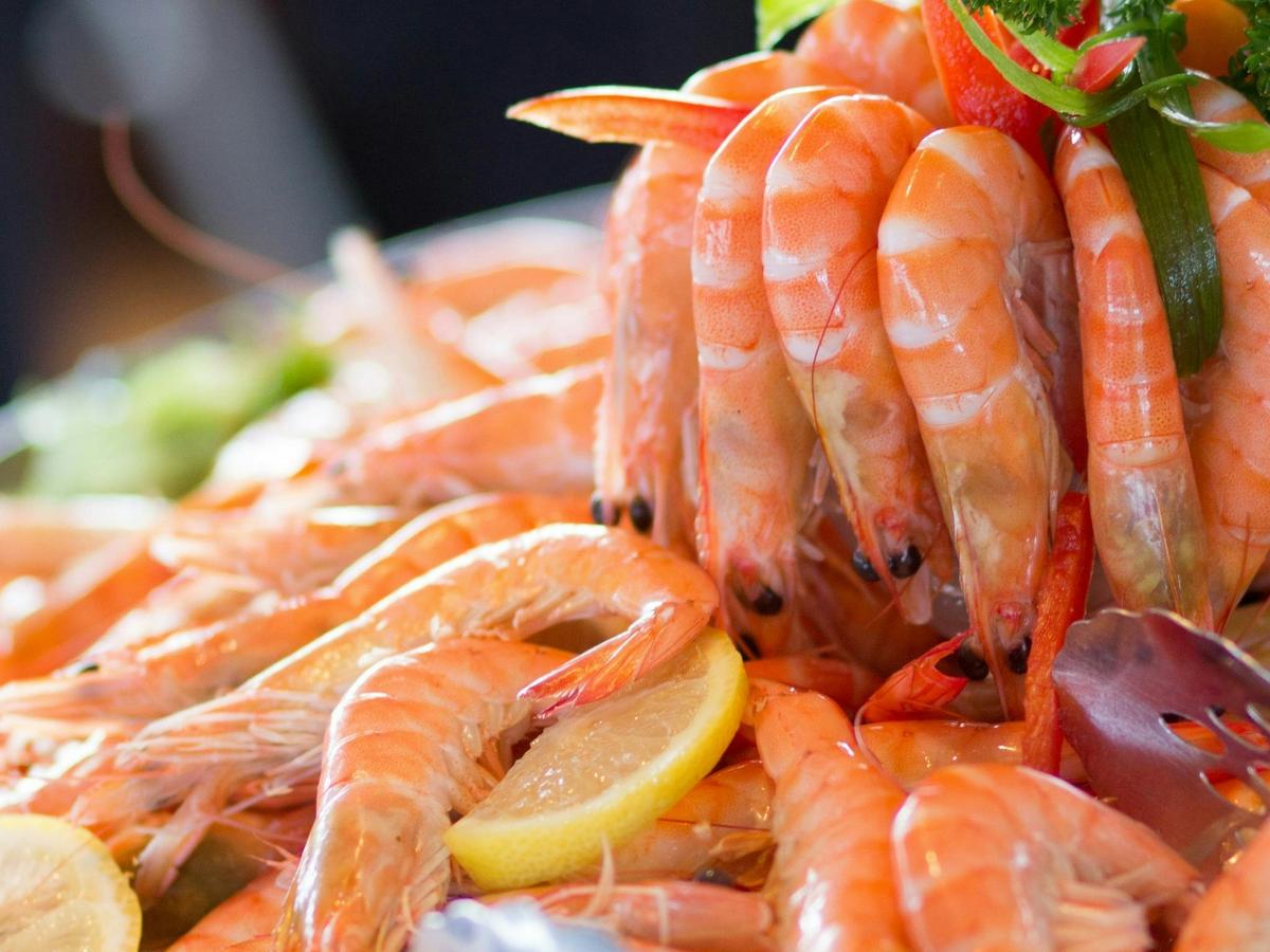 Melbourne Cup Lunch Cruise with Vagabond Cruises