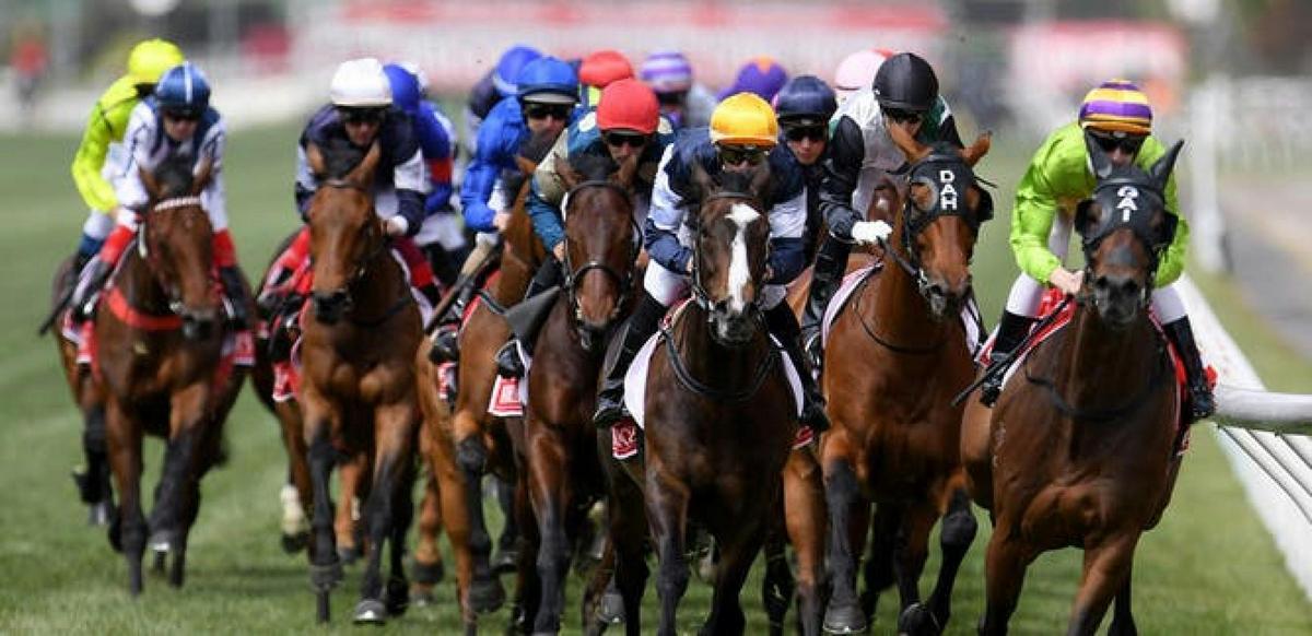 Melbourne Cup Lunch Cruise with Vagabond Cruises