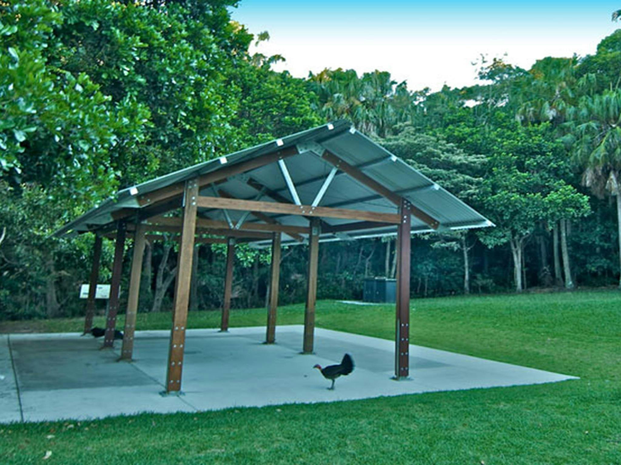 Palm Valley, Walgun Cape Byron State Conservation Area. Photo: John Spencer
