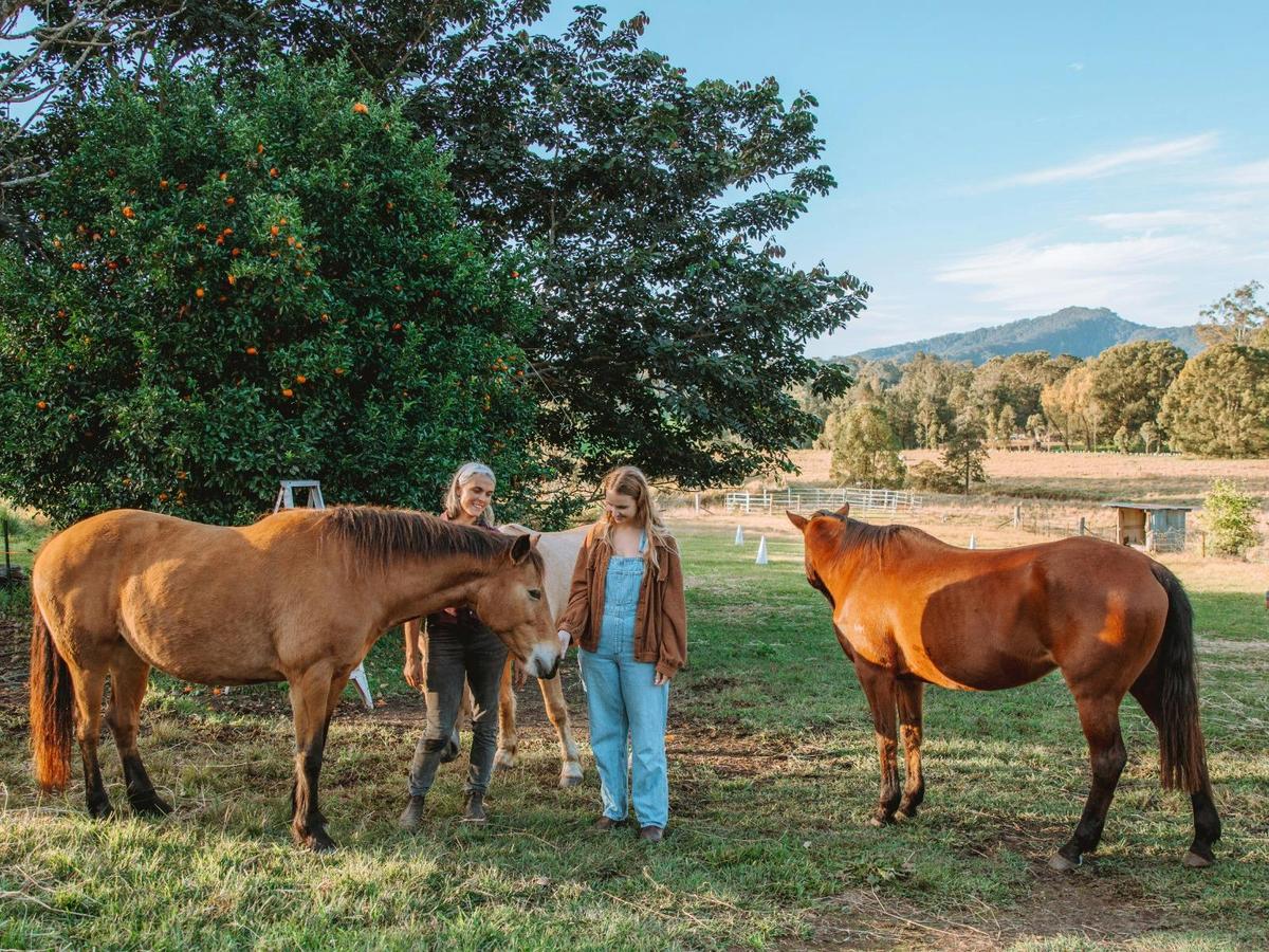 Equine Therapy is also offered at Autarky Farm