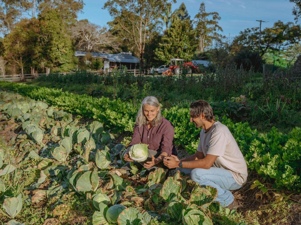 Experience farm life on a tour and eat the freshest organic produce straught out of the ground.