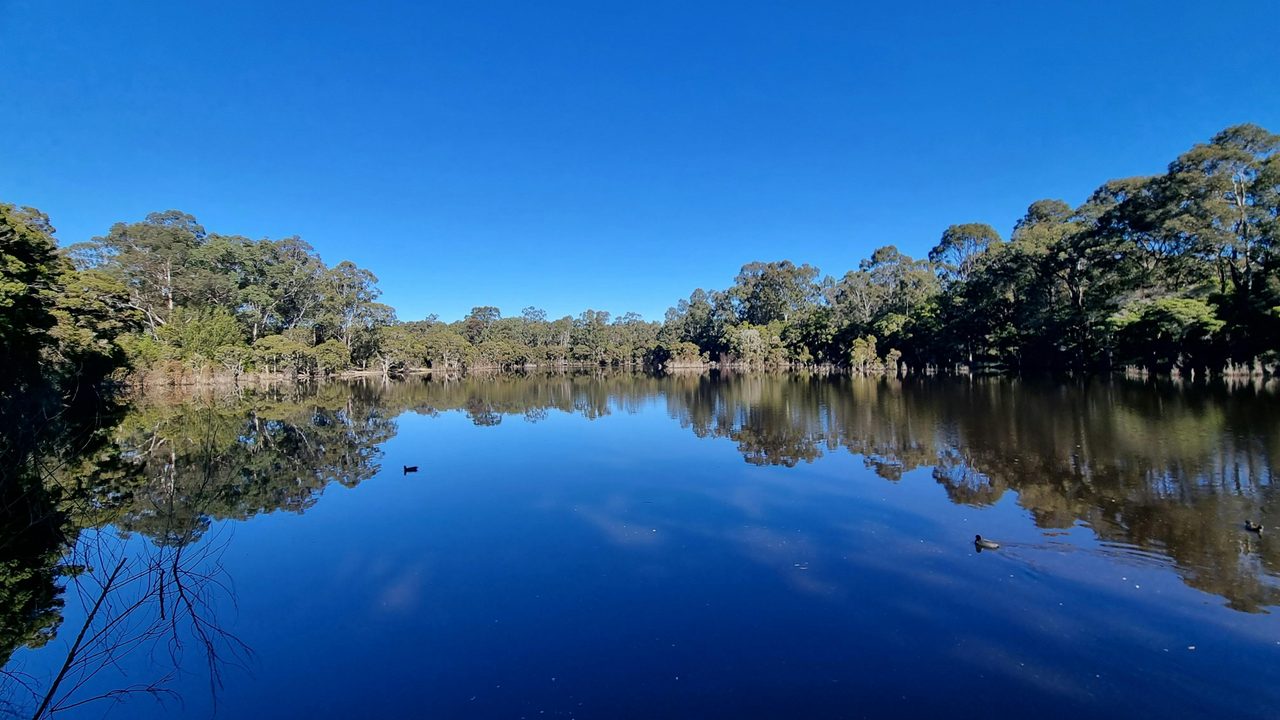 Poppet Head Dam