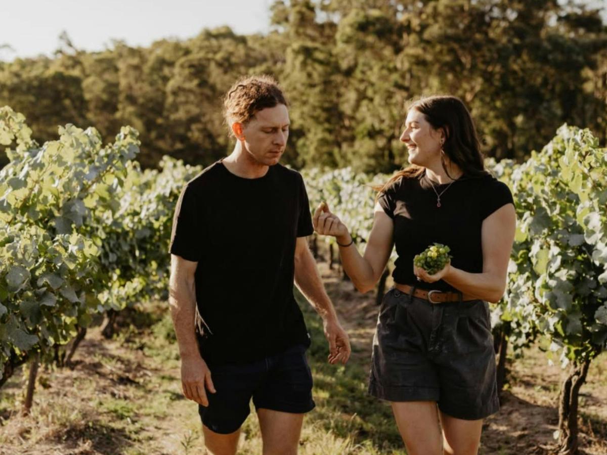 Glover Wines