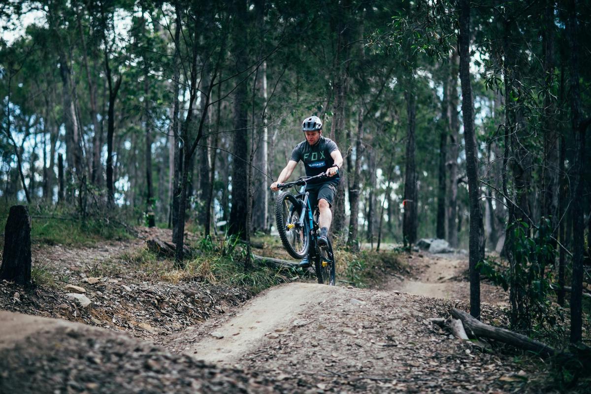 Nerang Mountain Bike Trails