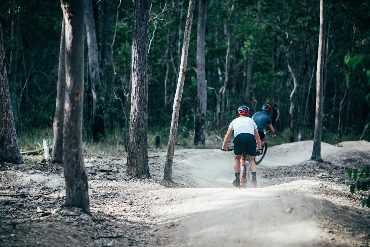 Nerang Mountain Bike Trails