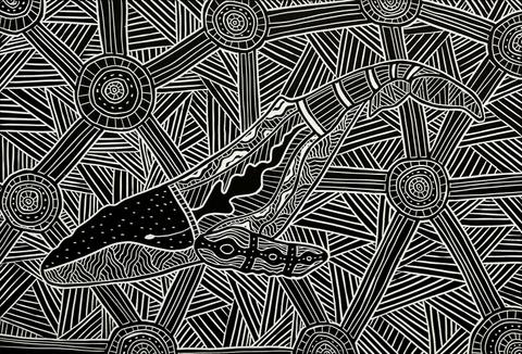 Creatures of the South Coast, Aaron Kennedy Exhibition