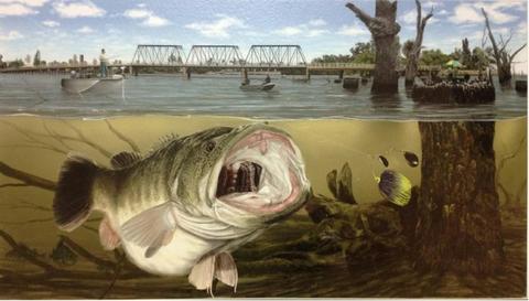 Yamaha Cod Classic