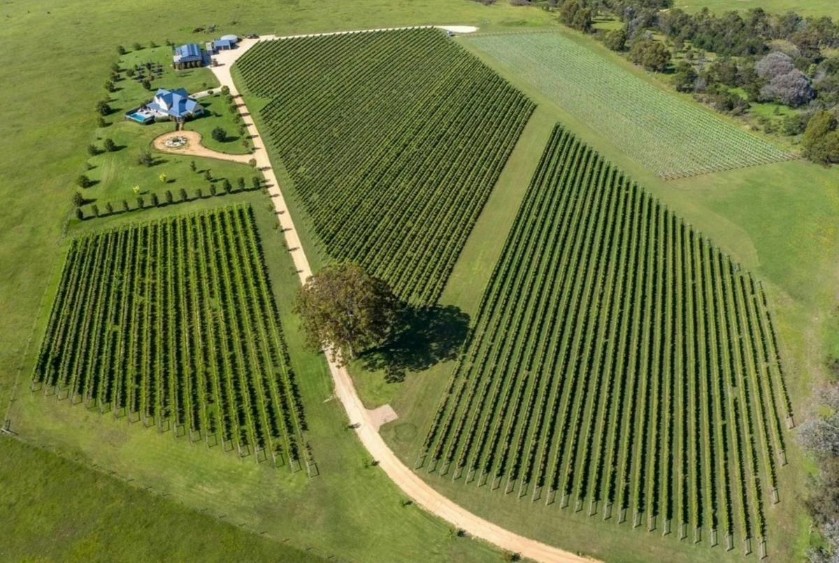Blue Gables Vineyard and Cellar Door