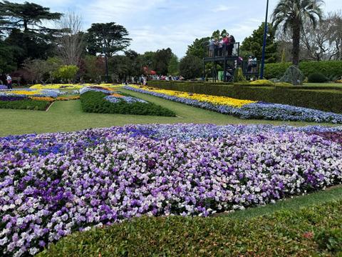 Toowoomba Carnival of Flowers with Blue Bus Tours, September 2026