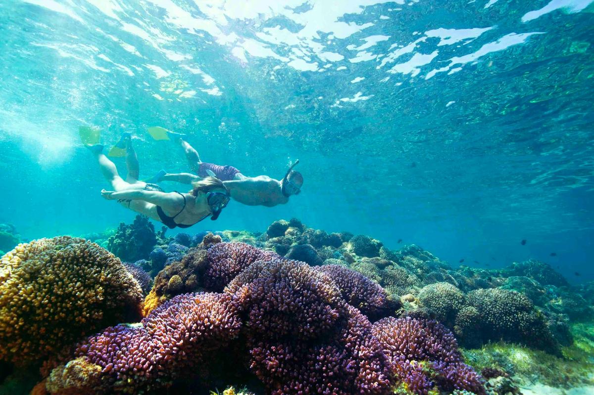 Lord Howe Island with Blue Bus Tours 2026