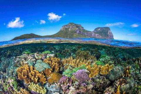Lord Howe Island with Blue Bus Tours 2026