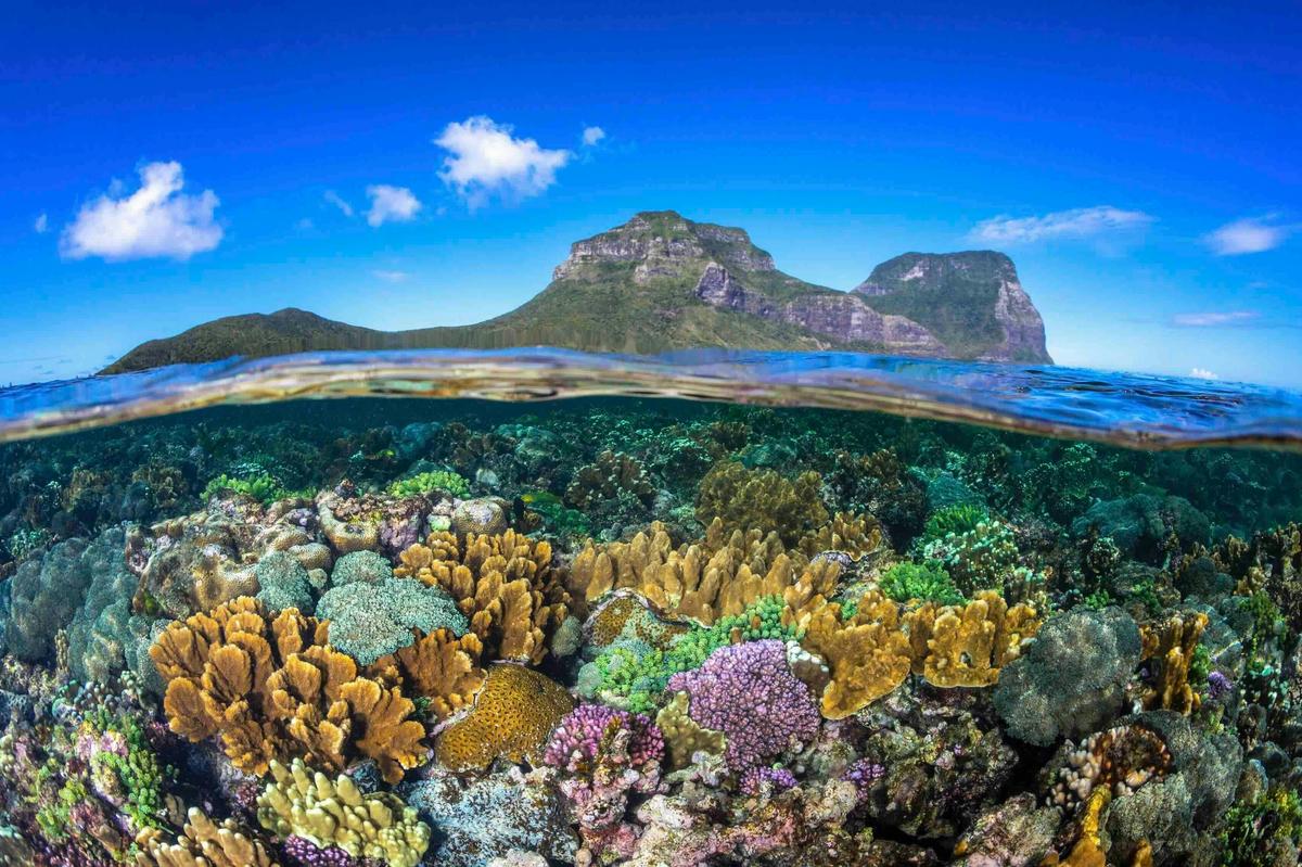 Lord Howe Island with Blue Bus Tours 2026