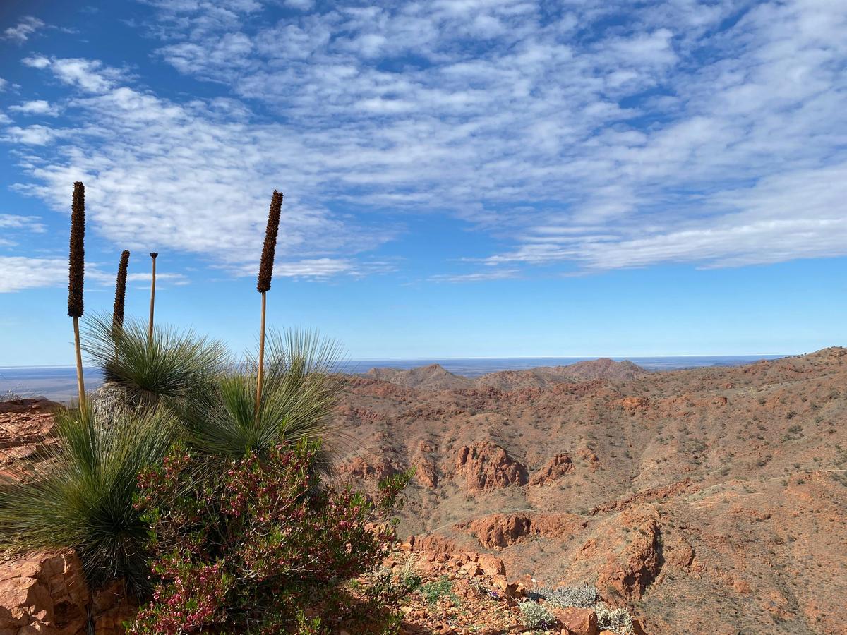 Australian Landscape