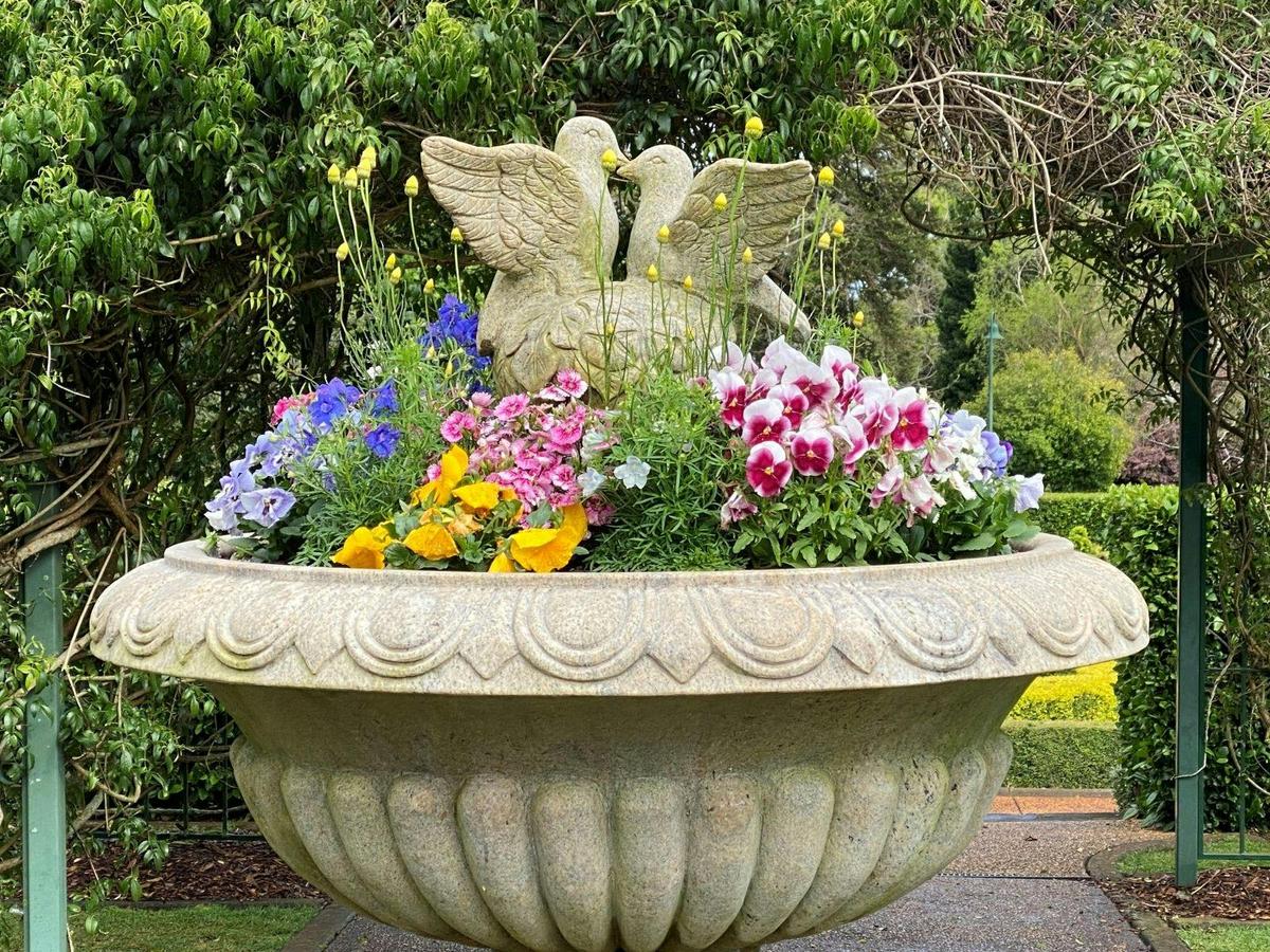 Toowoomba Carnival of Flowers with Blue Bus Tours, September 2026