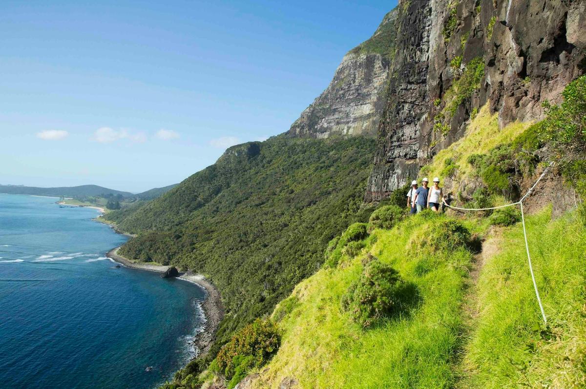 Lord Howe Island with Blue Bus Tours 2026