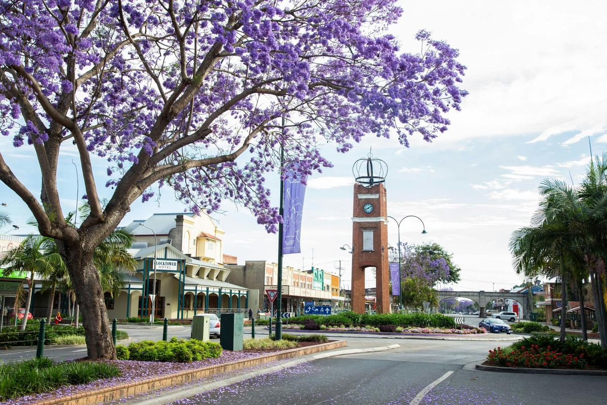 Yamba & Grafton Jacaranda Festival with Blue Bus Tours 2026