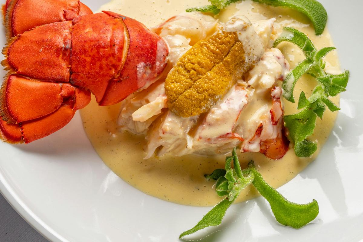 Enjoy our famous lobster with vanilla bean sauce at Darling Glebe