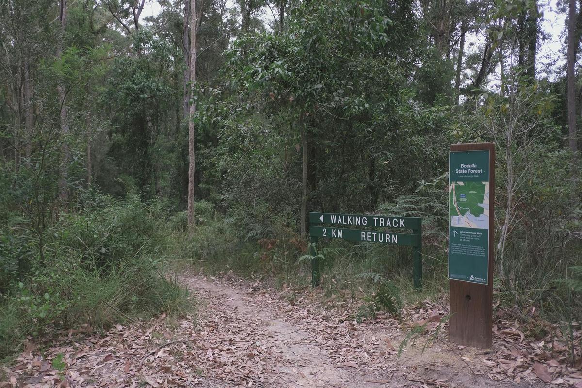 Lake Mummuga Wellness Walk