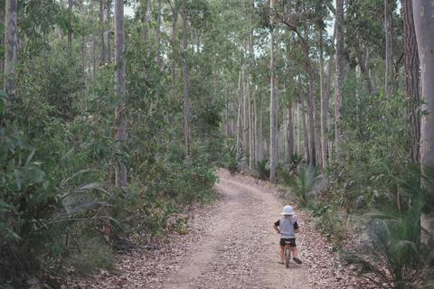 Lake Mummaga Wellness Walk, Bodalla State Forest