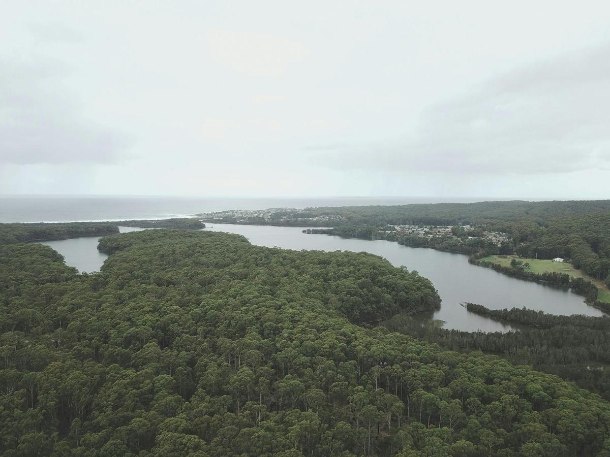 Aerial view of Lake Mummuga, Bodalla State Forest
