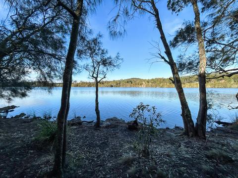 Lake Mummuga Wellness Walk, Bodalla State Forest