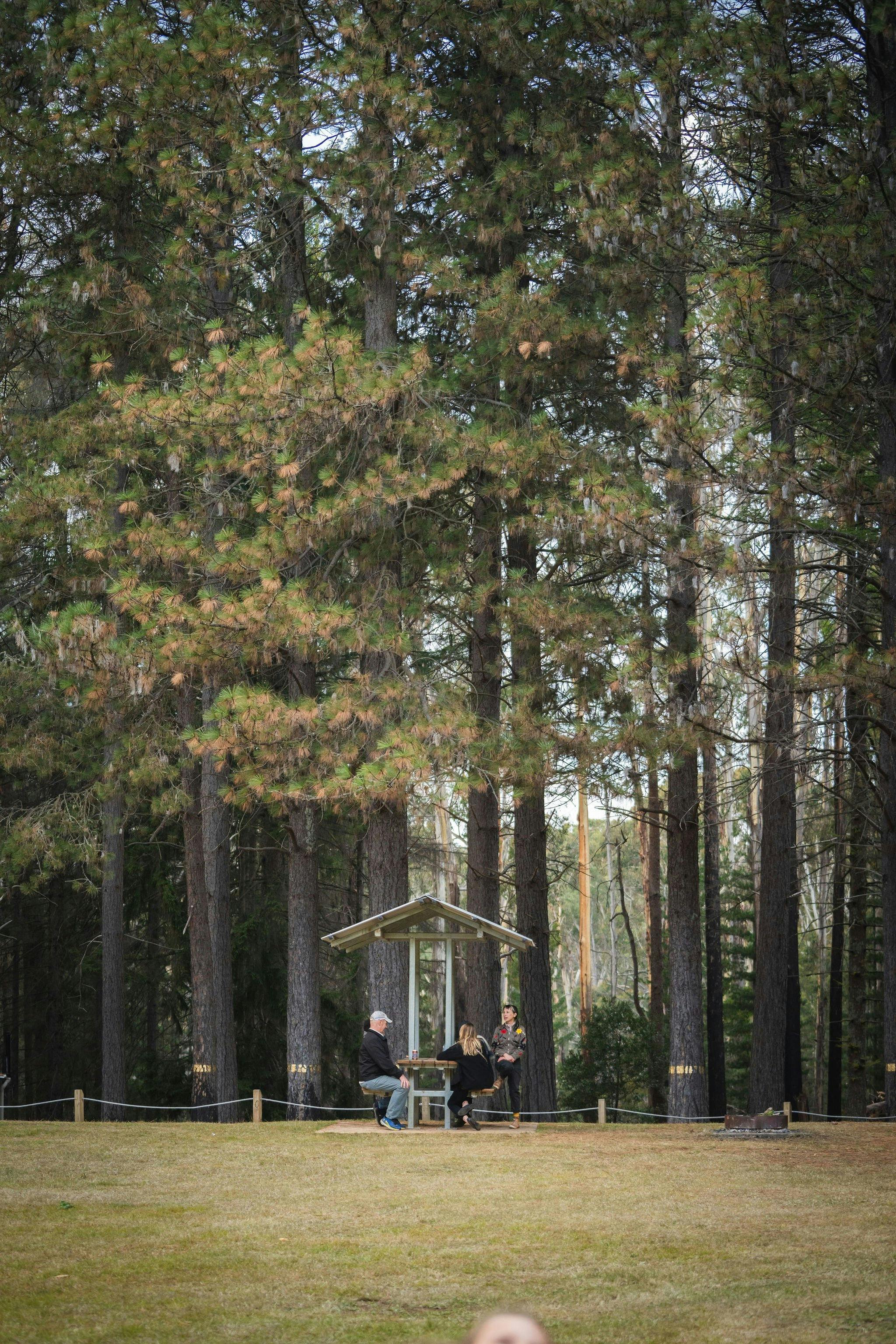 Picnic table at Pilot Hill Arboretum