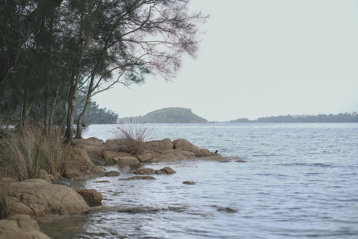 Lake Mummuga, Bodalla State Forest
