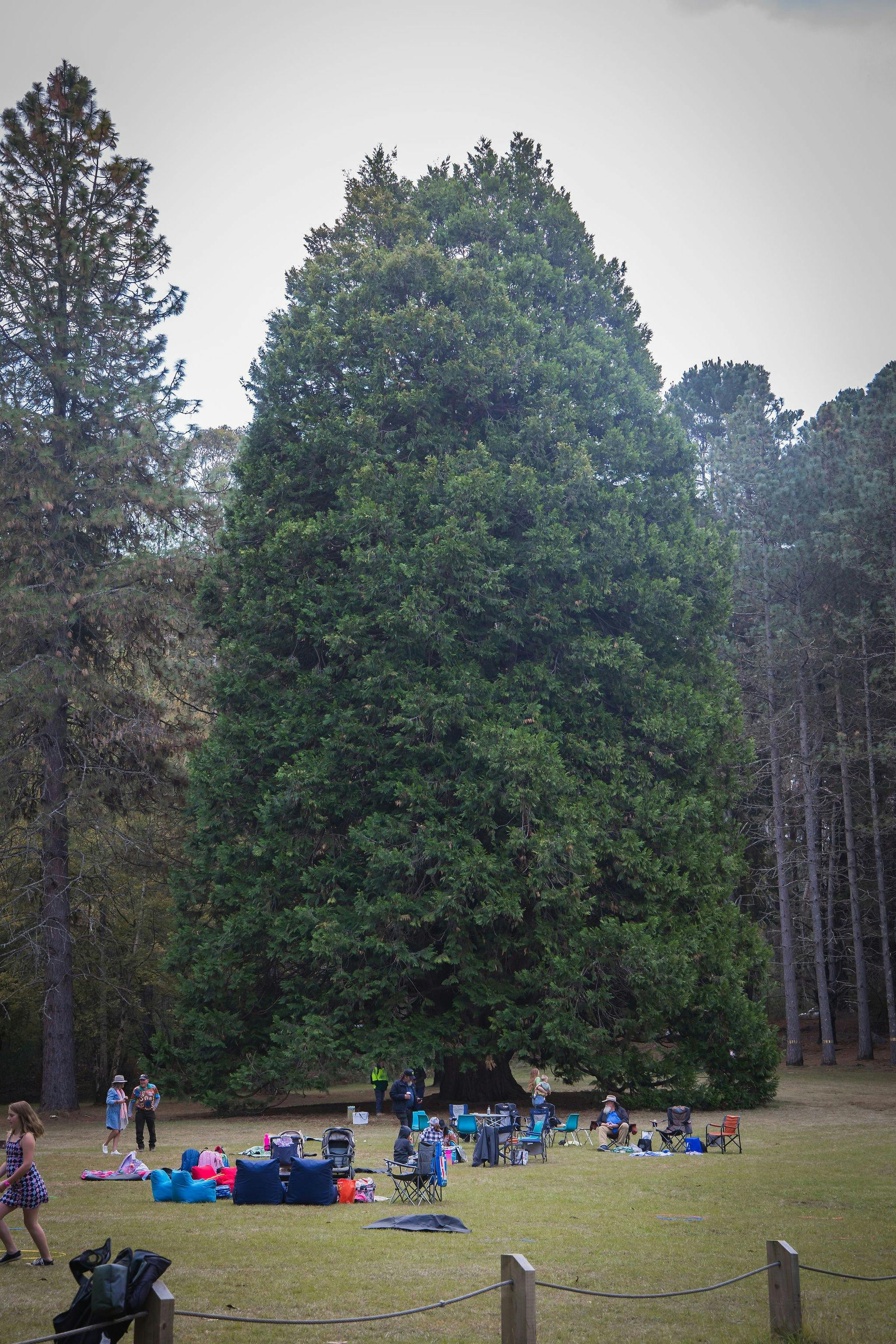 Picnic Area at Pilot Hill Arboretum
