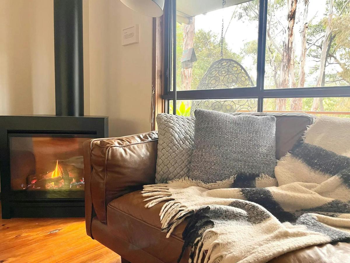 Gas log fire & cosy couch