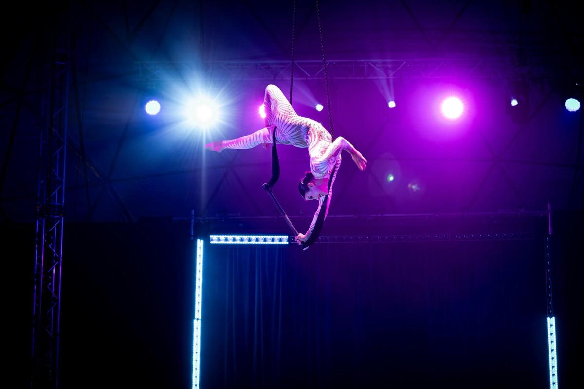 All-Star Circus
