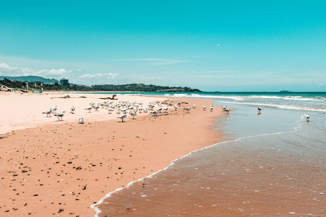 Park Beach