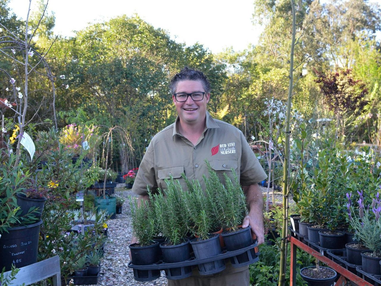 Owner of Red Leaf Wholesale Nursery