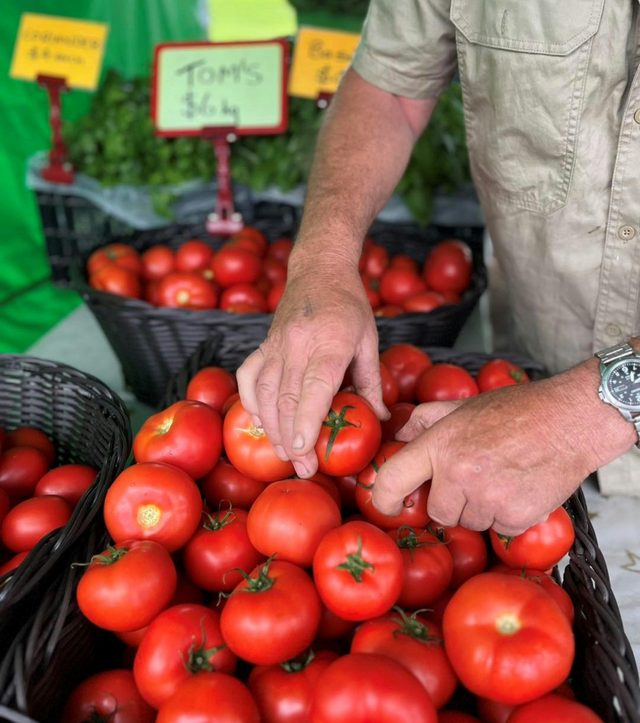 Pottsville Beach Markets
