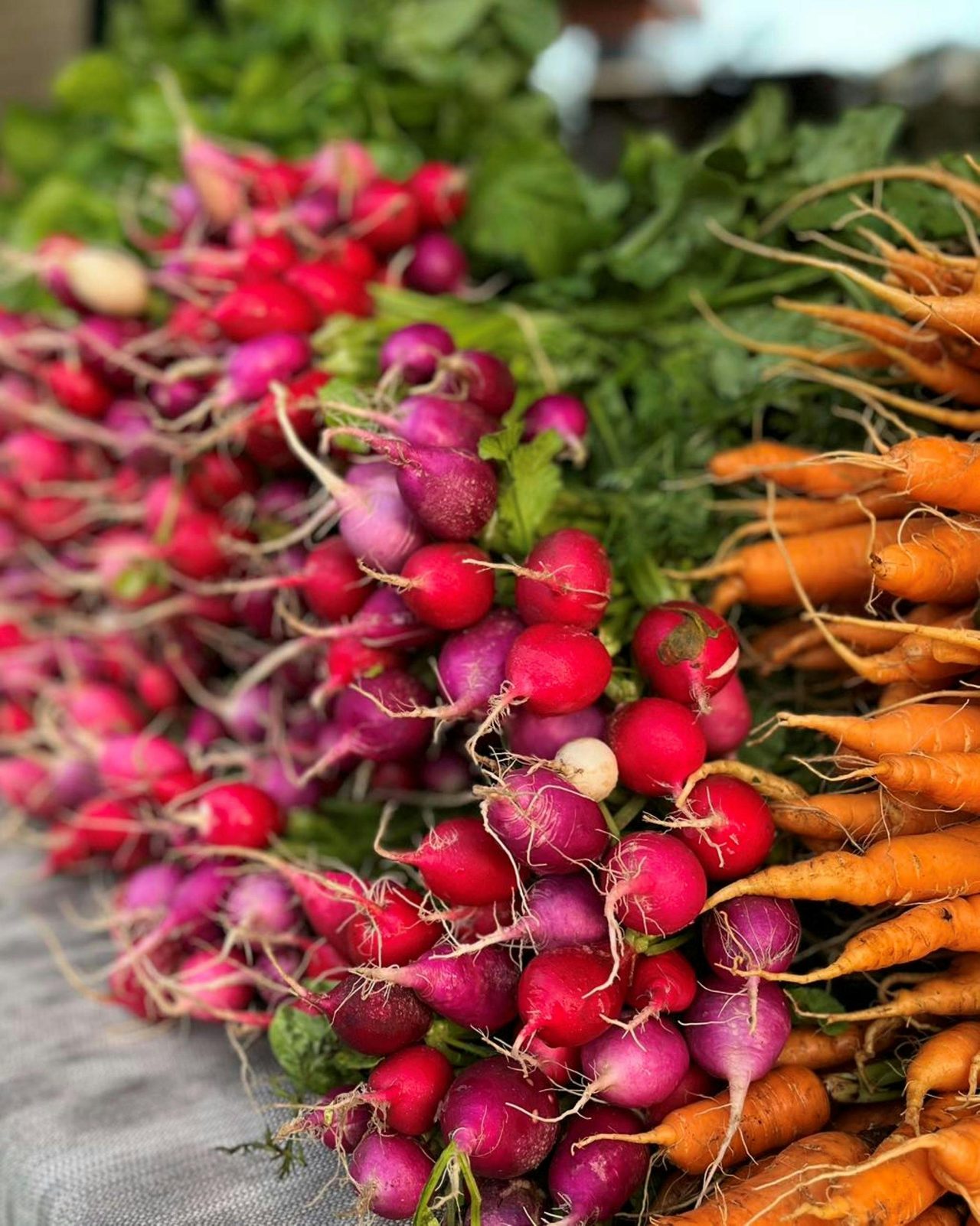 Pottsville Beach Community Markets