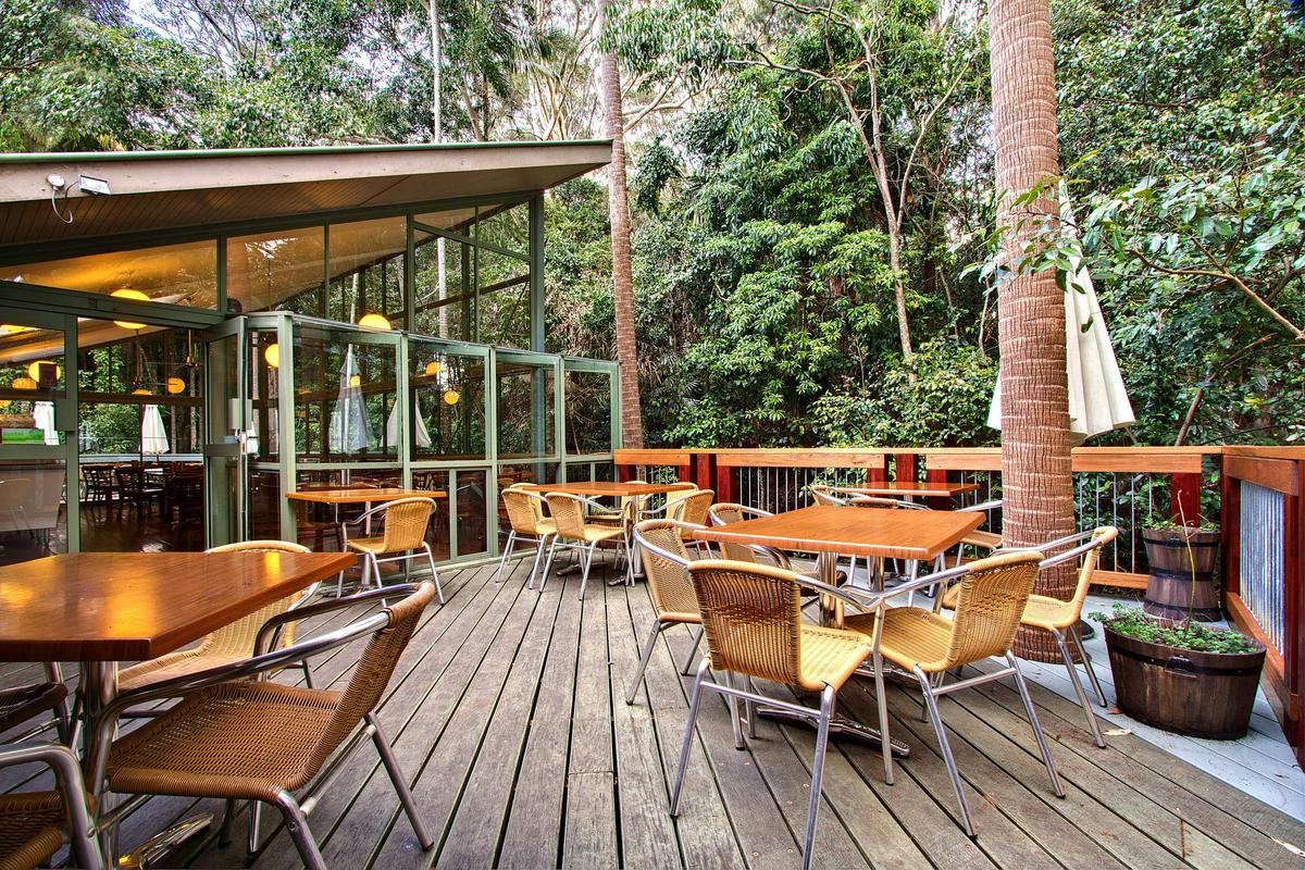 Sea Acres Rainforest boardwalk