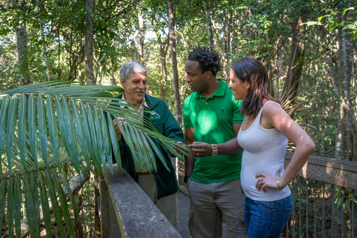 Sea Acres Rainforest boardwalk