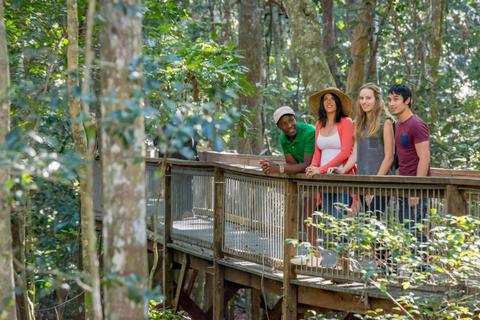 Sea Acres Rainforest boardwalk