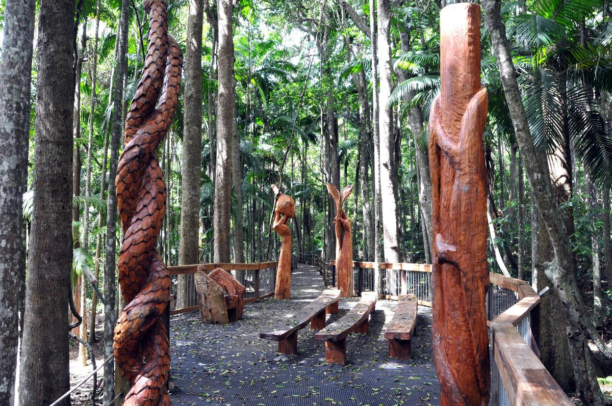Sea Acres Rainforest boardwalk