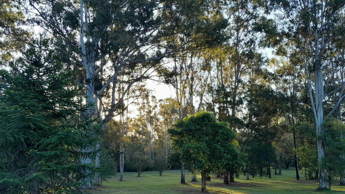 Hidden Creek Farm Qld