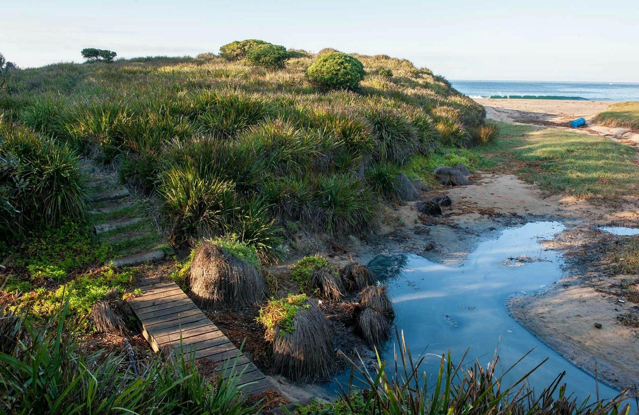 Richmond Beach, Murramarang National Park. Photo: Michael Van Ewijk