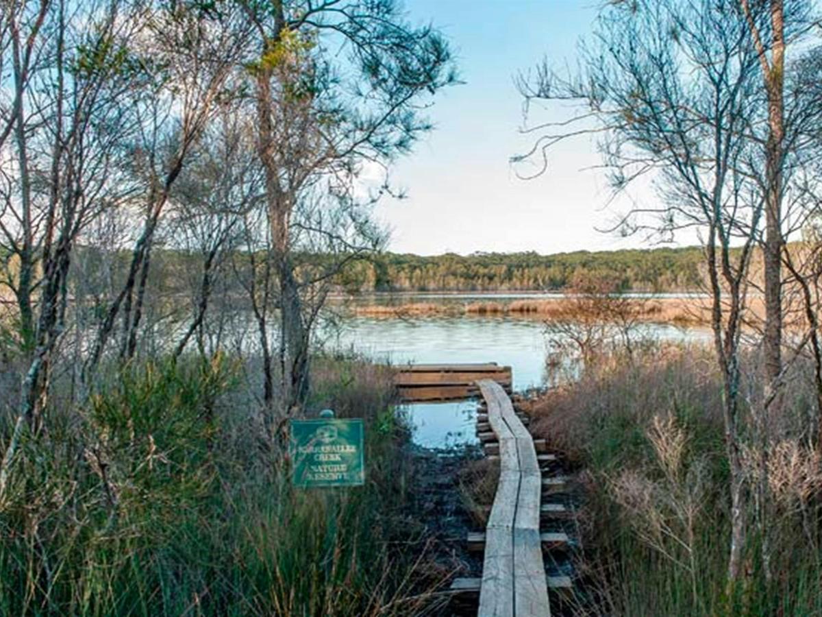 Pattimores Lagoon, Narrawallee National Park. Photo: Michael van Ewijk &copy; OEH